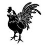 Coq