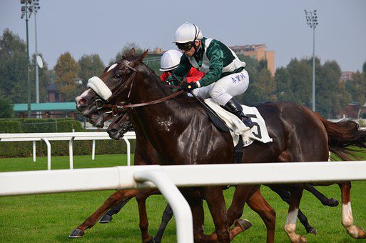 HANDICAP D'ANGERS LOIRE METROPOLE