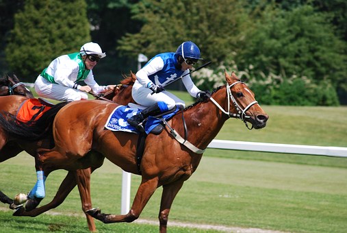 PRIX DU HARAS DE JARDY