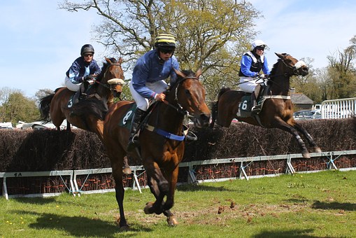 GRANDE COURSE DE HAIES DE PRINTEMPS