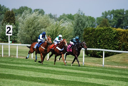 PRIX DE LA PLAINE DU PUTOIS