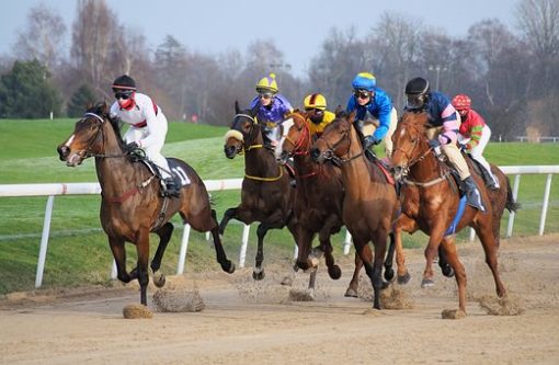 PRIX DE LA ROUTE DES PRINCES