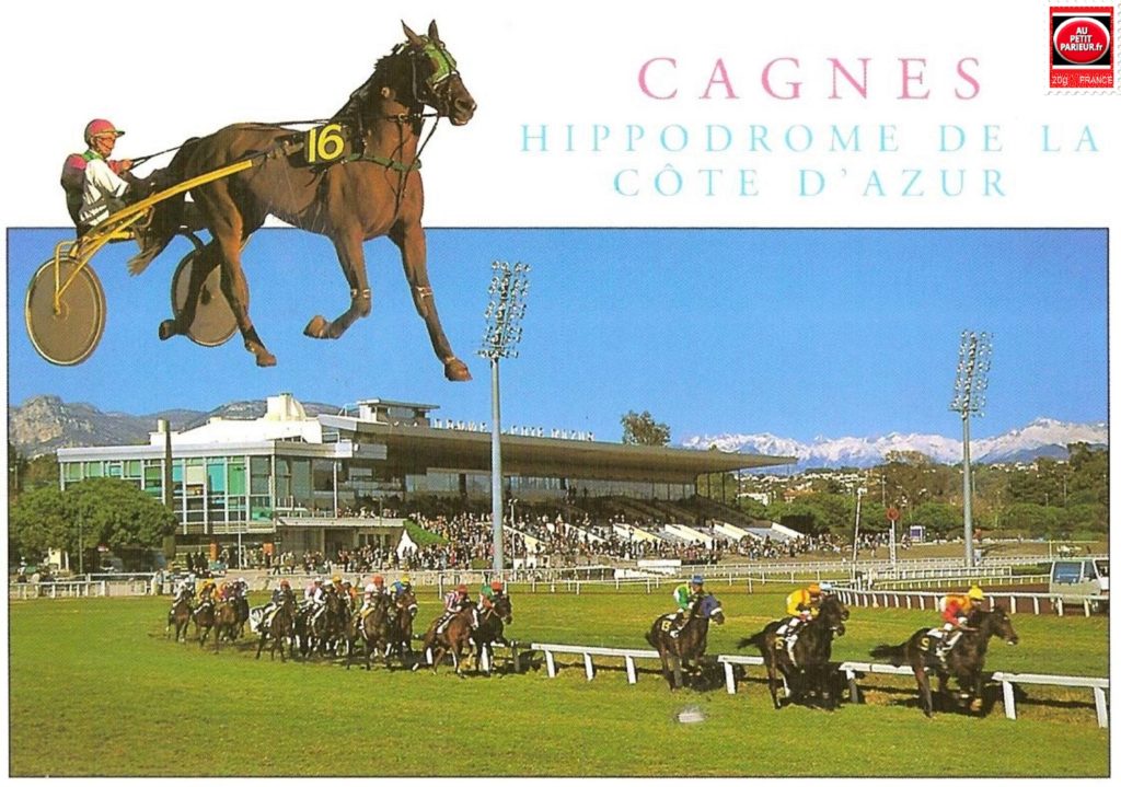 Concours Du Meilleur Pronostiqueur Canal Turf