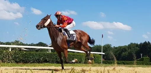 PRIX DE LA CHAMBRE DU DUC
