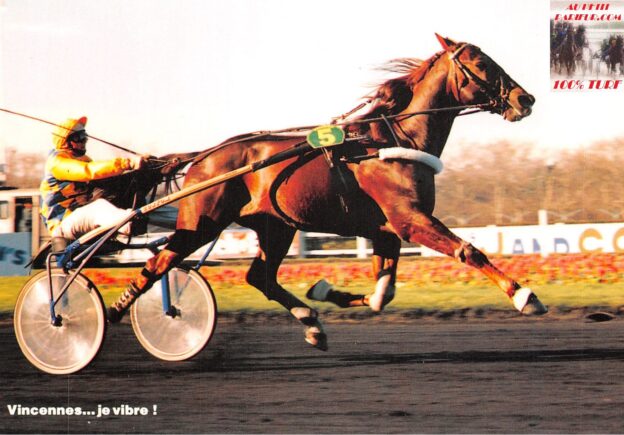 PRIX DE SELECTION - PRIX FACE TIME BOURBON